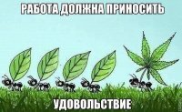 Смешные картинки
