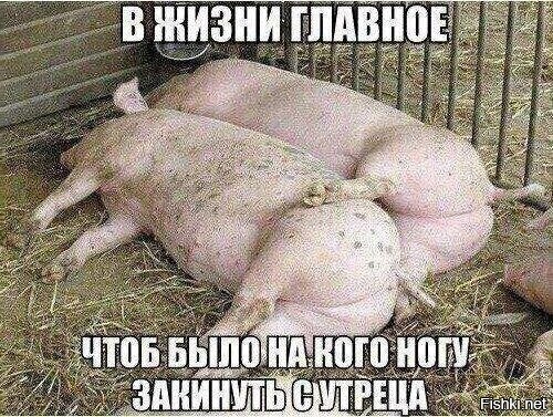 Смешные картинки