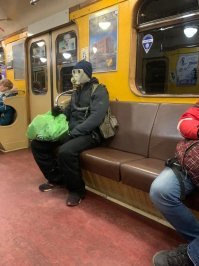 Хотели как лучше, получилось как всегда: самые идиотские способы борьбы с коронавирусом