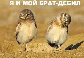 Смешные картинки