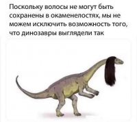 Прикольные и смешные картинки