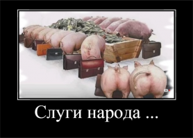 Где в России самое крупное поголовье свиней?