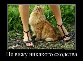 Прикольные и смешные картинки