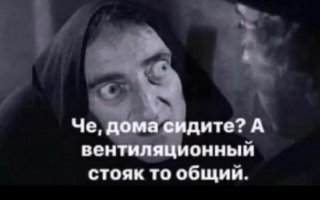 Как живут граждане разных стран во время пандемии?