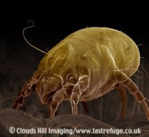 Абсолютно там ничего нету.