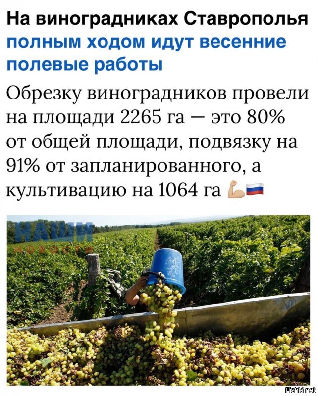 Да ладно,- я не верю своим глазам,- вам понравилось? Или вас как Любу Соболь, взломали агенты Путина?