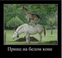 Смешные картинки