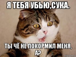 Смешные картинки