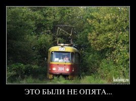 Смешные картинки