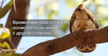 Смешные картинки
