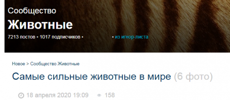Четвертое место – муравей-листорез.
Третье место – жук-носорог
Второе место – навозный жук
Самое сильное животное в мире.

Меня терзают смутные сомнения...
ЖИВОТНЫЕ?
Вы школу пропустили?