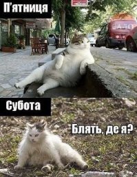 Алкопост на вечер этой пятницы