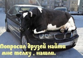 Это - склисс! Он ничей.