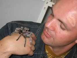 Самые большие насекомые в мире