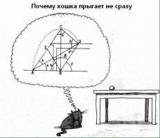 Карта и компас - мои друзья
