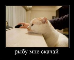 Домашние питомцы делают уроки