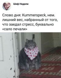 Я добавил уже 5 кило.