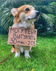 Смешные картинки