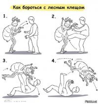 Как боролись с клещами в СССР