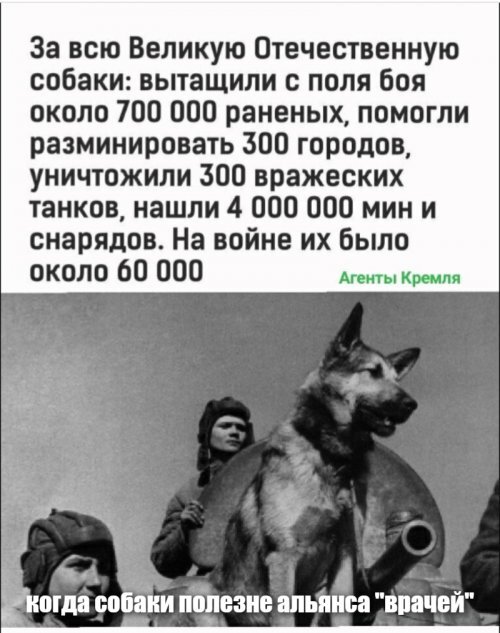 Политические комментарии 2