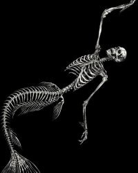 Водяной и его зарубежные родственники