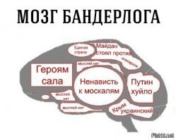 The National Interest: Штаты не могут отследить российские субмарины класса «Ясень»