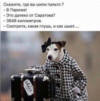 10 особенностей жизни во Франции, которые удивили переехавших
