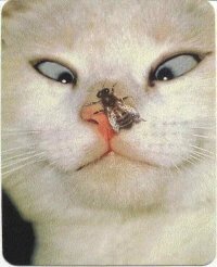 10 вещей из СССР, назначение которых для современной молодёжи будет загадкой