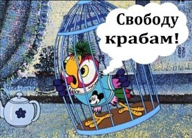 Сотни крабов выбежали из пассажирской сумки в аэропорту