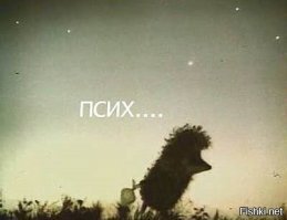 Смешные картинки из соц сетей