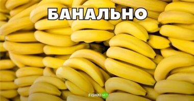 Смешные каламбуры, или Игра слов, которая поднимет вам настроение