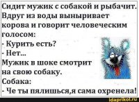 Прикольные и смешные картинки