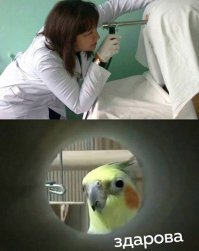 Иногда и женщины с поличным попадаются)