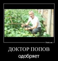 7 причин кошмарить людей коронавирусом