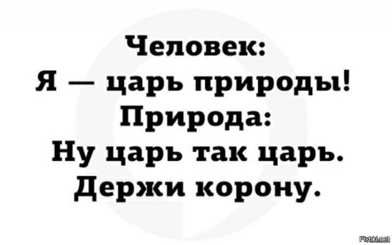 Главные отличия бренда от торговой марки