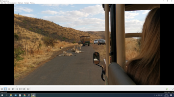 Да им пофиг, когда на дороге спать. Снимал сам октябрь 2019.