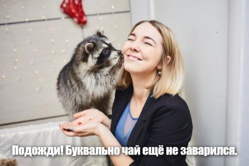 Солянка от 19.04.2020