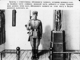 Почему человек не может спать стоя?