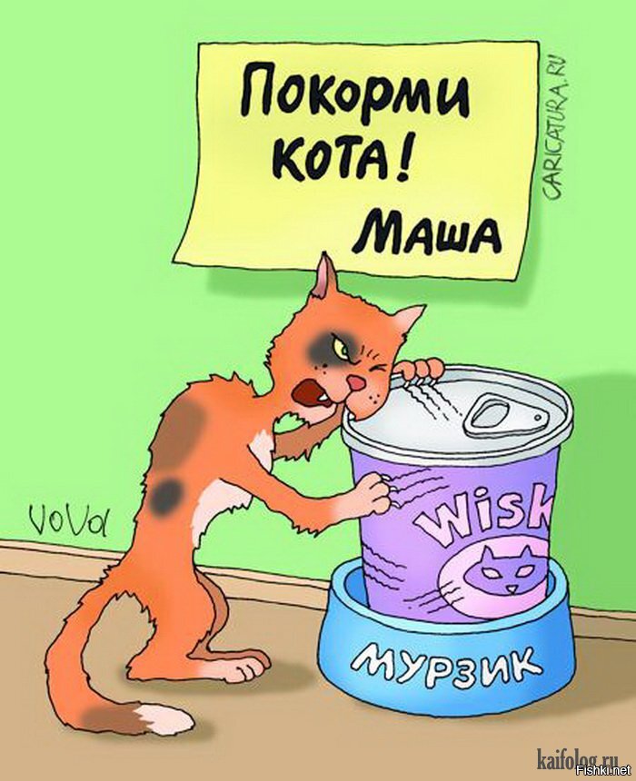 Картинка покорми кота