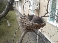 Прикольные и смешные картинки
