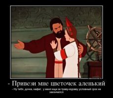 Прикольные и смешные картинки