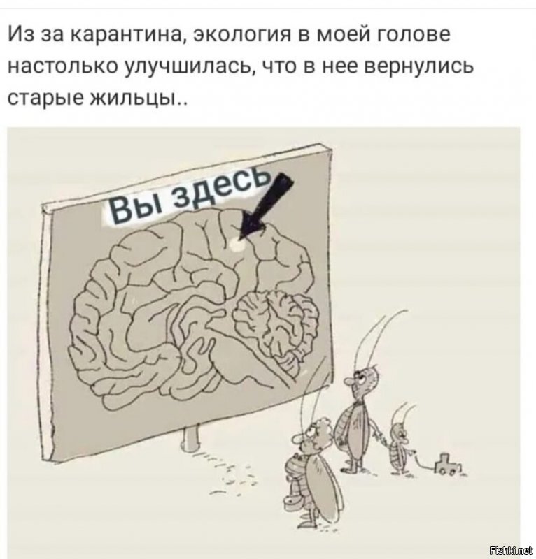 Солянка от 20.04.2020