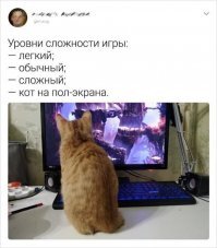 Что за игра, кто знает? Trine?