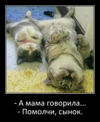 Фотоподборка