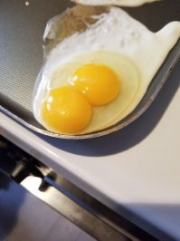 У нас продавались 2-желтковые яйца, и везение тут ни при чем. )) Для выпечки, майнез сделать домашний -- они самое то.  ))