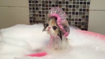 Смешные картинки из соц сетей