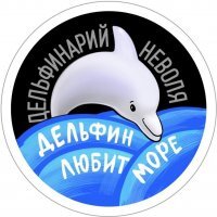 Самый одинокий дельфин в мире умер спустя много лет, проведённых в заброшенном аквариуме