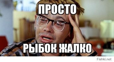 Странное существо на берегу пруда смутило питерских рыбаков