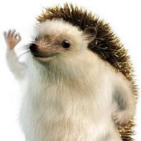 Прикольные и смешные картинки