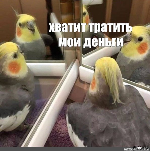Прикольные и смешные картинки